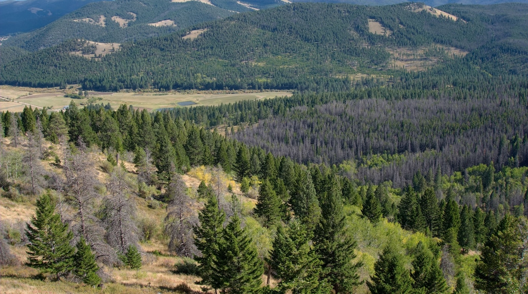 View to Beaverhead-Deerlodge National Forest near Helena