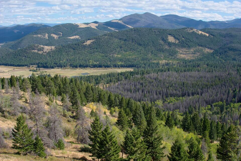 A mountainous landscape with dense forests and open fields.