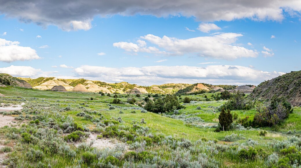 Painted Canyon utsiktspunkt