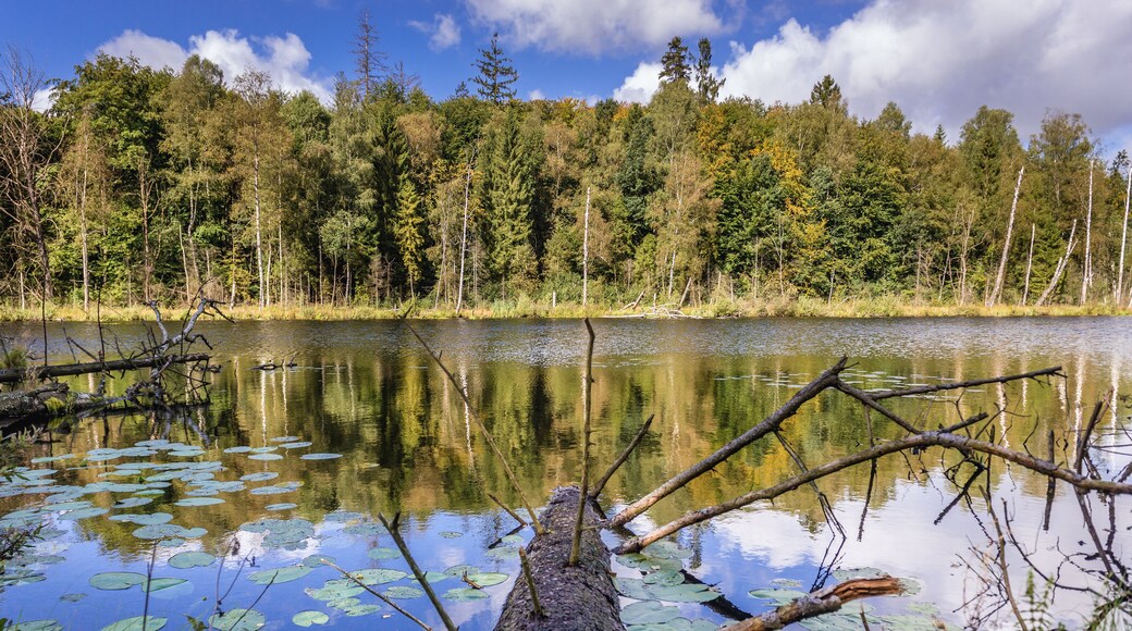 So called French Lake, part of the nature reserve located in Dylewo Hills Landscape Park in Poland
