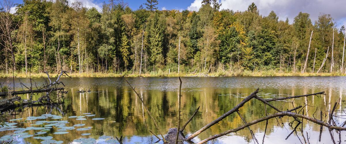 So called French Lake, part of the nature reserve located in Dylewo Hills Landscape Park in Poland