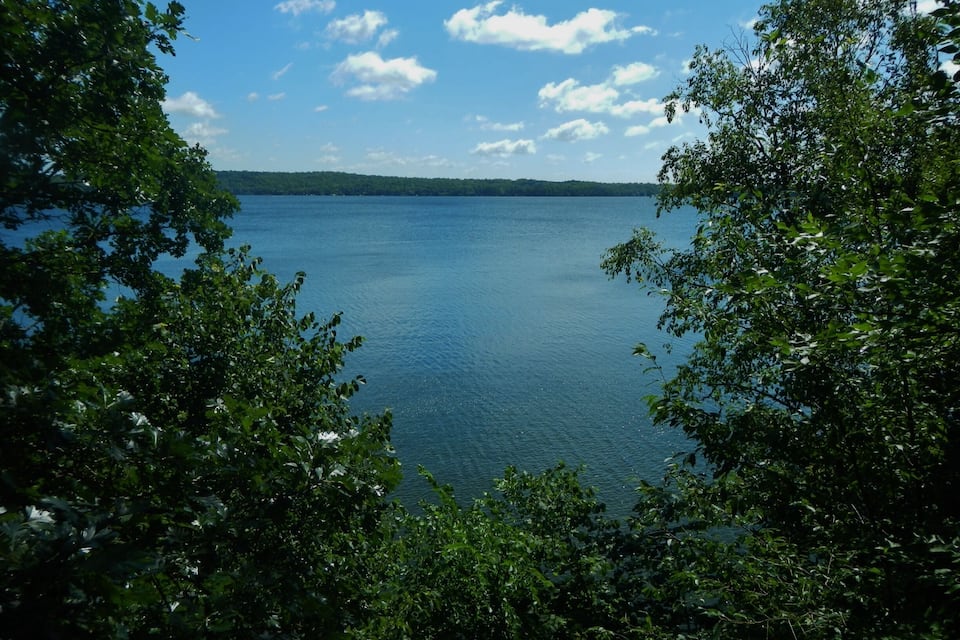 A calm lake surrounded by dense green foliage.