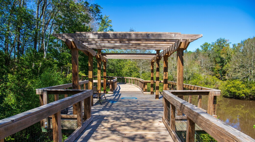 a long winding brown wooden bridge with a pergola over the Sandy Run Creek surrounded by lush green trees and plants with a gorgeous clear blue sky at The Walk at Sandy Run in Warner Robins Georgia