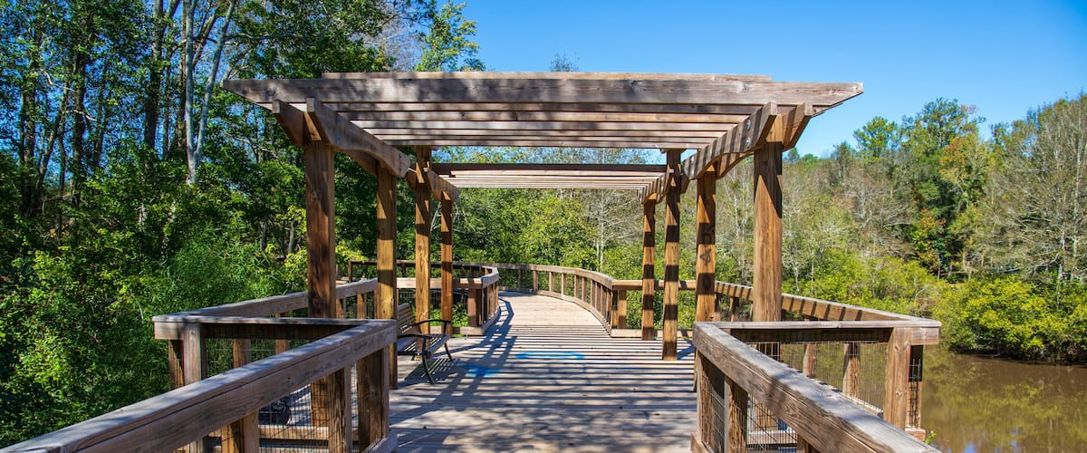a long winding brown wooden bridge with a pergola over the Sandy Run Creek surrounded by lush green trees and plants with a gorgeous clear blue sky at The Walk at Sandy Run in Warner Robins Georgia