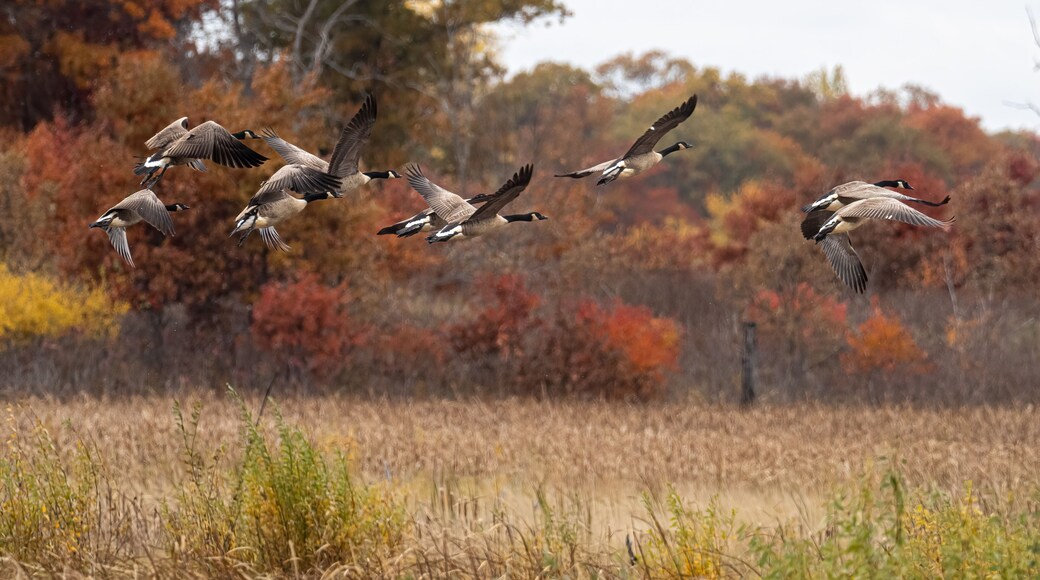 Sherburne nasjonale naturreservat