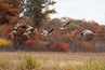 Sherburne National Wildlife Refuge