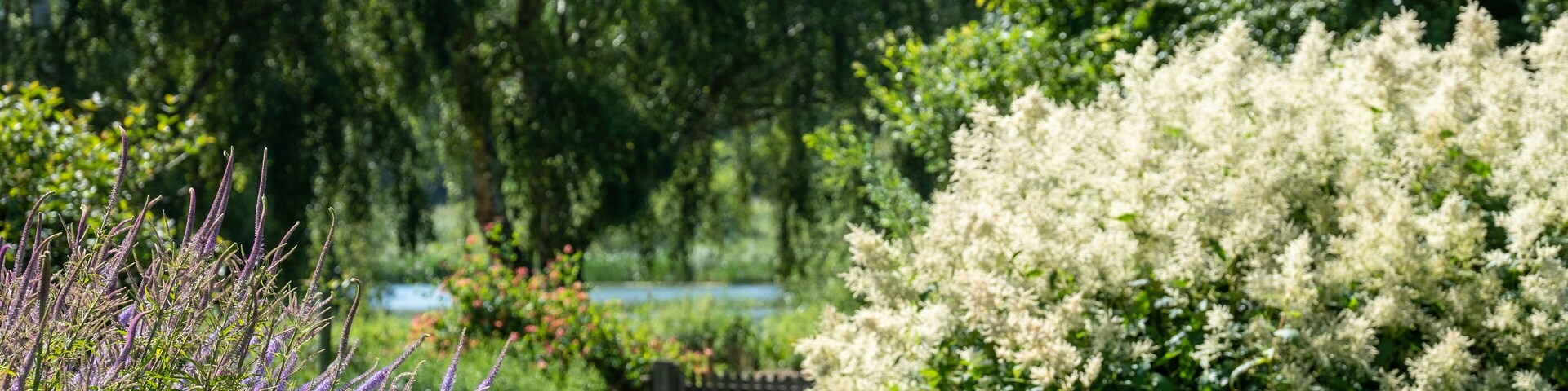 The Millennium Garden at Pensthorpe Natural Park, designed by Piet Oudolf, in Fakenham, North Norfolk. The garden is planted in naturalistic style.