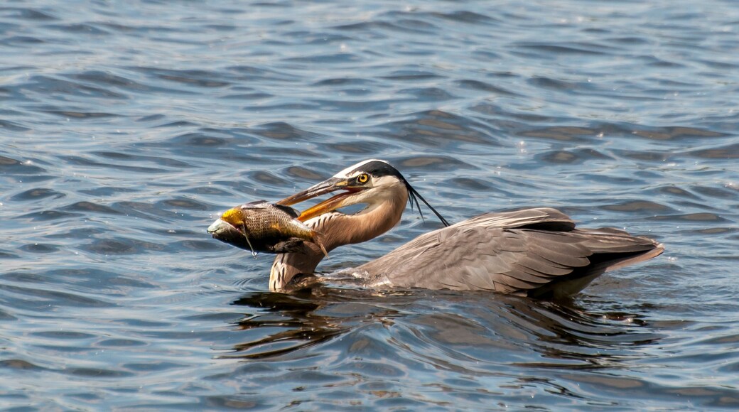Fish Lake Regional Park