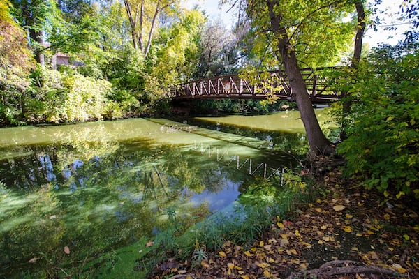 Pedestrian bridge overlooking a small creek at the Maple Grove Arboretum on a sunny autumn day.