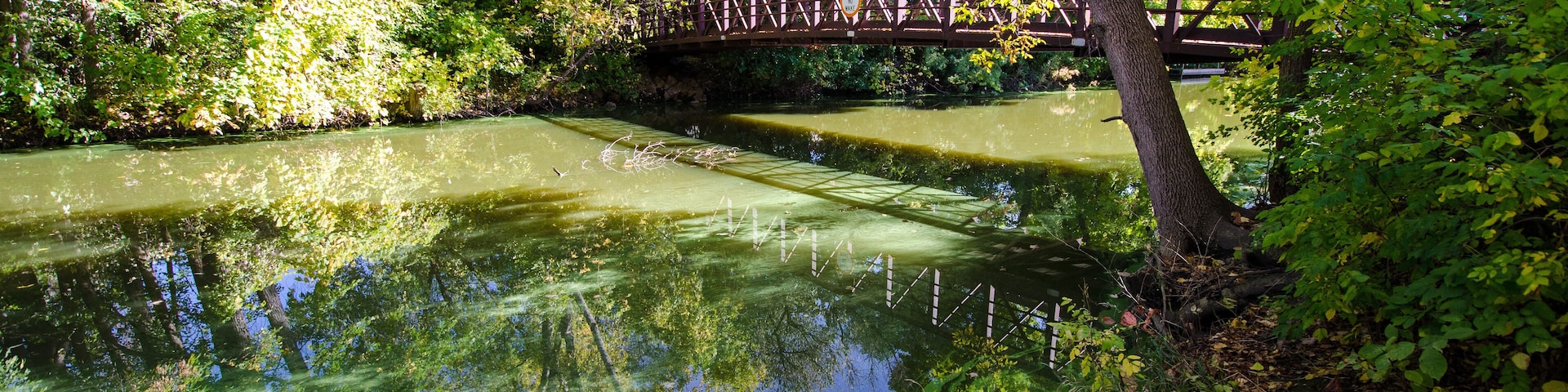 Pedestrian bridge overlooking a small creek at the Maple Grove Arboretum on a sunny autumn day.