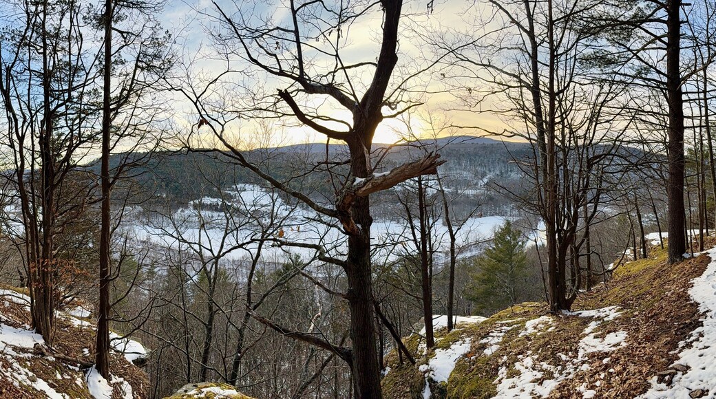 Prattsville, NY, USA - Dec 27, 2024. Uphill, short mountain hike to Pratt Rock. Mount Rushmore of upstate New York. Cliff stone carving for Zadock Pratt. Nearby dog and horse tombstone, valley view.
