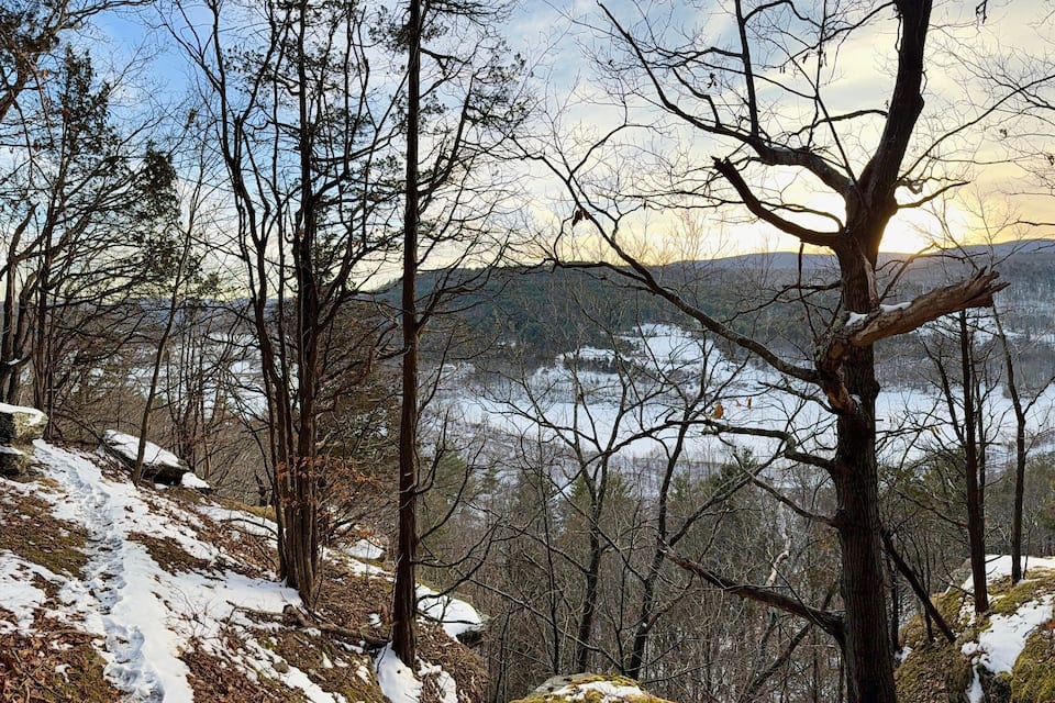 A snow-covered forest with a clear sky and distant mountains.