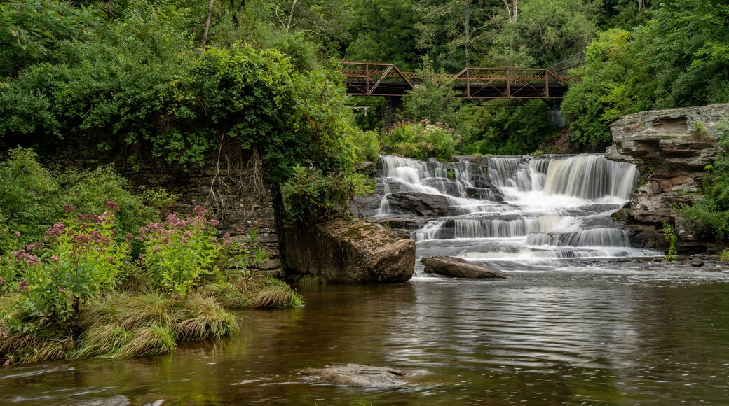 Tanner Falls in Honesdale