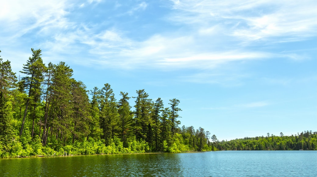 Lake Itasca at Itasca State park, Minnesota