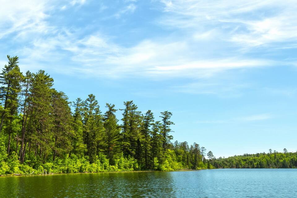 A calm lake surrounded by dense green forest and a clear blue sky.