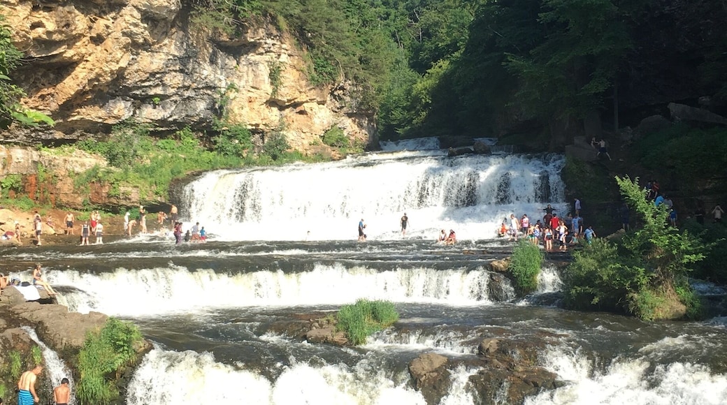 My friend took us to these waterfalls when we visited. These beauties made for an interesting and refreshing summer day.
#River