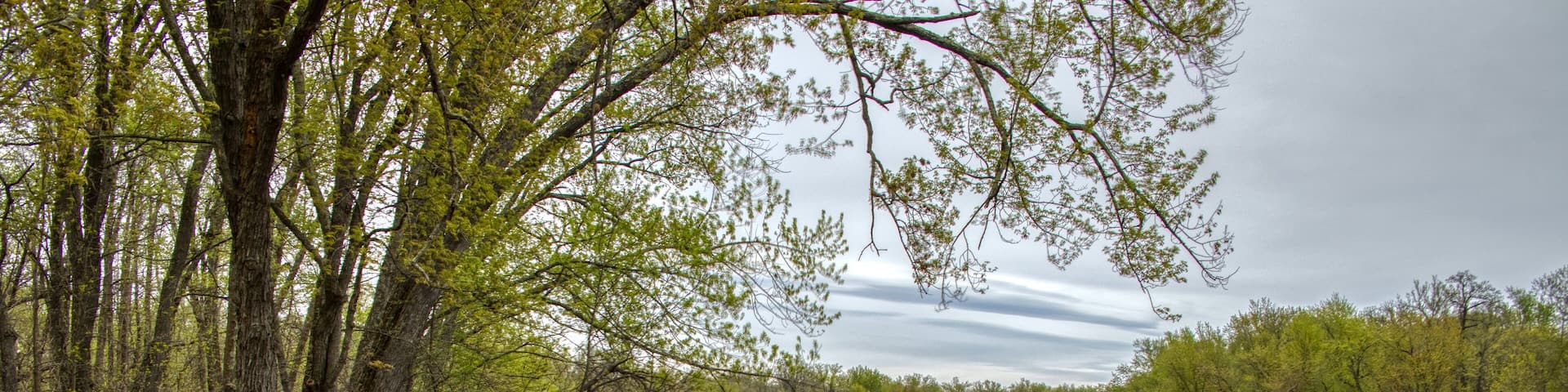 The St. Croix National Scenic Riverway is a protected area along the border of Minnesota and Wisconsin