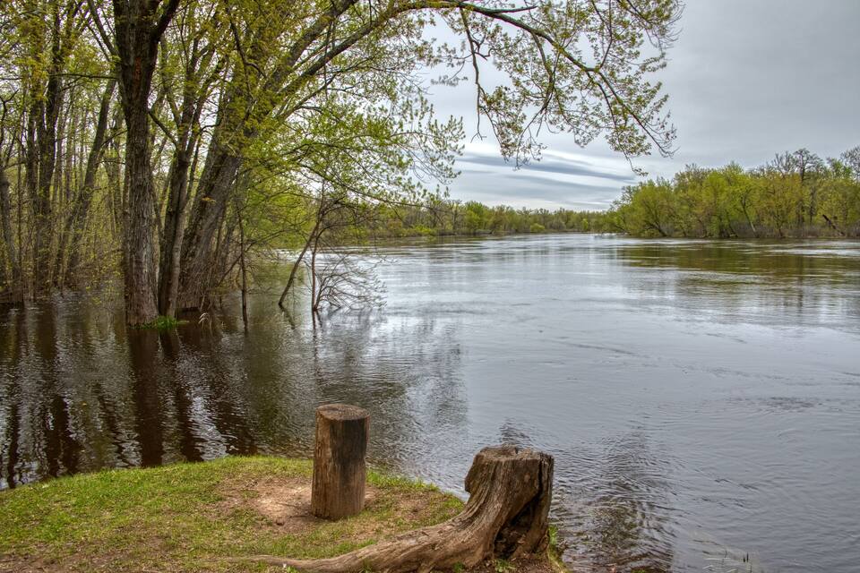 Un río bordeado por árboles y una orilla cubierta de hierba.