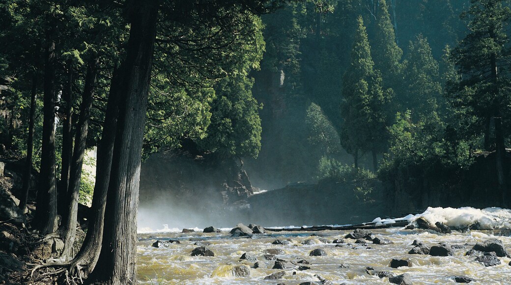 Parque estatal de Gooseberry Falls