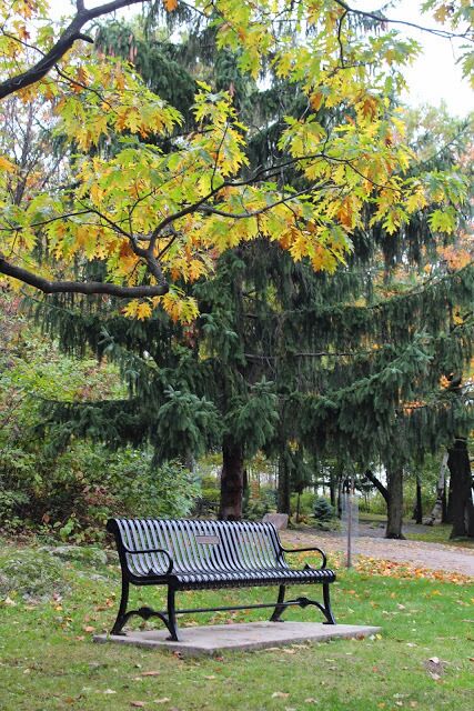 Captured this scene at the Split rock lighthouse state park in Duluth. This park has scenic trails for skiing, hiking and cycling.