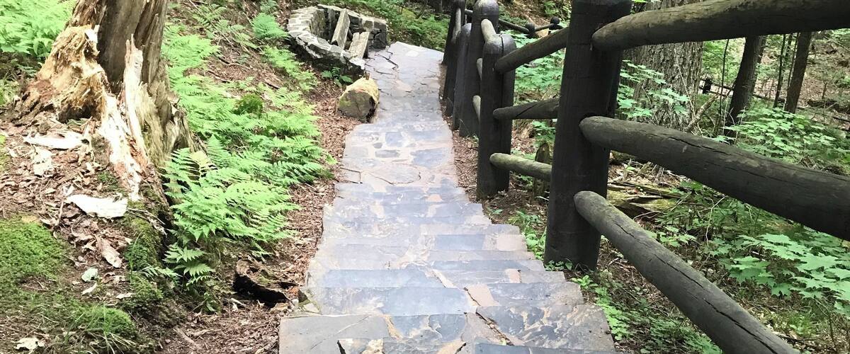 A stone pathway in a forest with a wooden fence on one side.