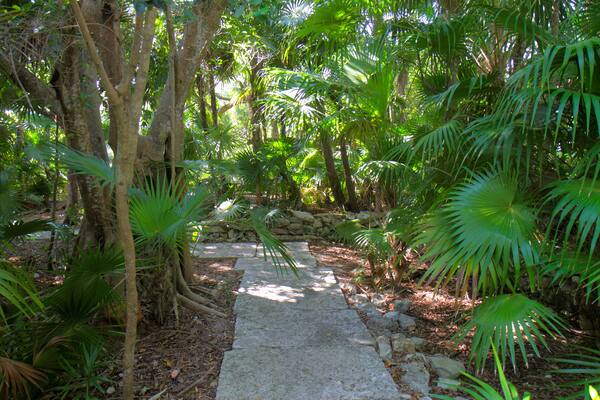 D1P59F Florida Key West Florida Keys Key West Tropical Forest & and Botanical Garden frost-free nature trail