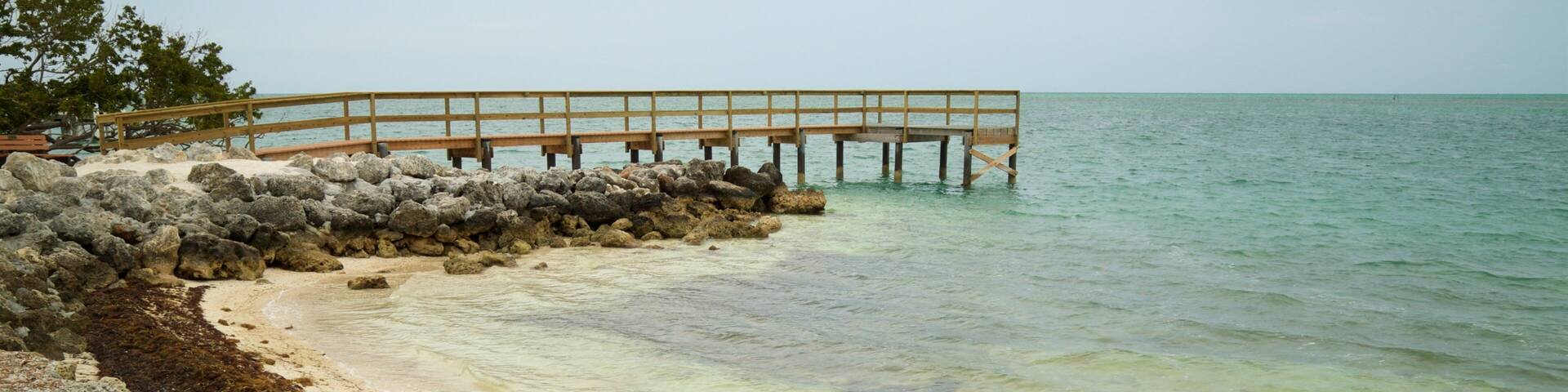 A beach with a wooden pier extending into the water, surrounded by rocks and seaweed.