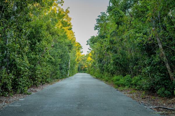 Dagny Johnson Key Largo Hammock Botanical State Park featuring forests and a garden