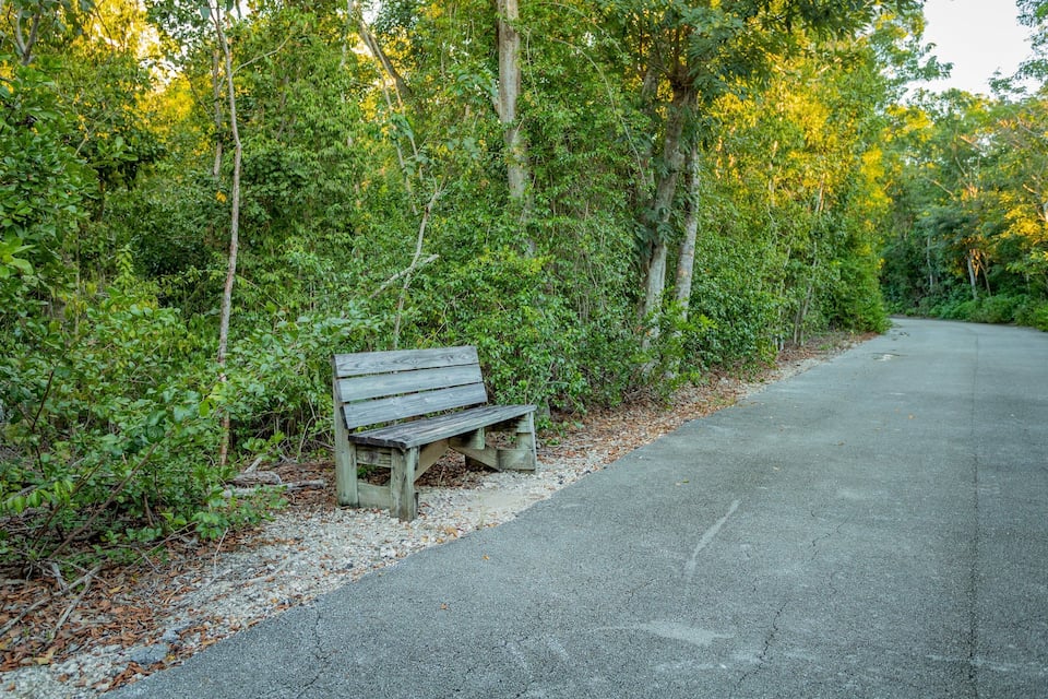 A wooden bench by a gravel path in a wooded area.