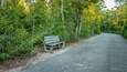 A wooden bench by a gravel path in a wooded area.