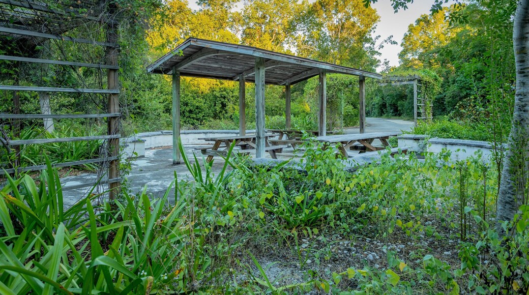Dagny Johnson Key Largo Hammock Botanical State Park which includes a park