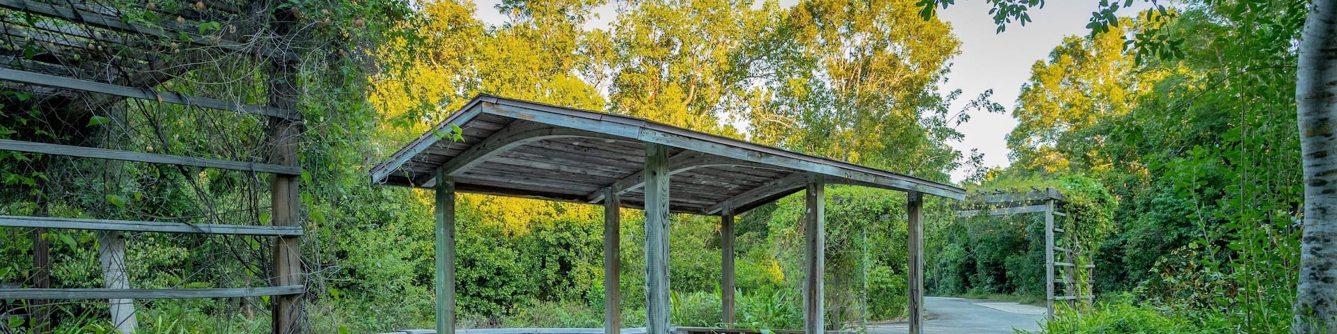 A wooden pavilion with picnic tables in a forested area.