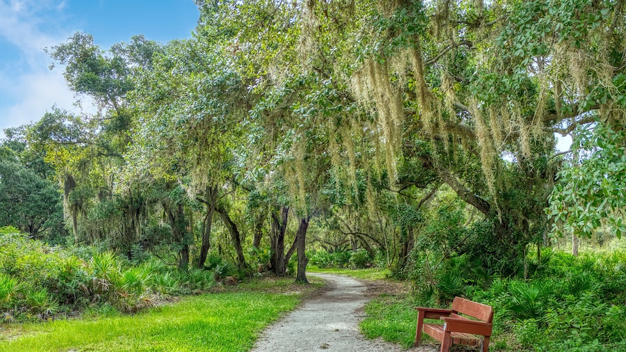 Công viên Lemon Bay