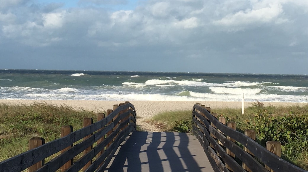 After running the Bill Beer Run 5.0 miler I walked to check out the choppy surf just north of the North Jetty at Nokomis Beach. I was surprised to see no surfers out there. Water temps were about the same as ambient air of 70 degrees.
