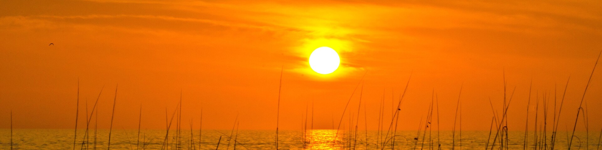 USA, Florida, Crescent Beach, Siesta Key, Sarasota, Seascape, Orange Sunset