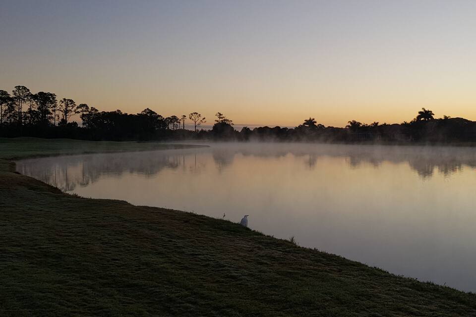 A calm lake at dusk with a grassy shore and trees in the background.