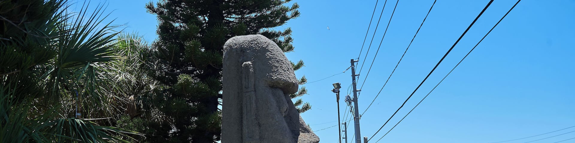 StPeteBeach_PolynesianPutter_553248621532652659_05