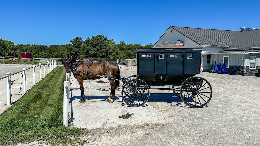 Amish horse and buggy parked in the parking lot of an Amish store
