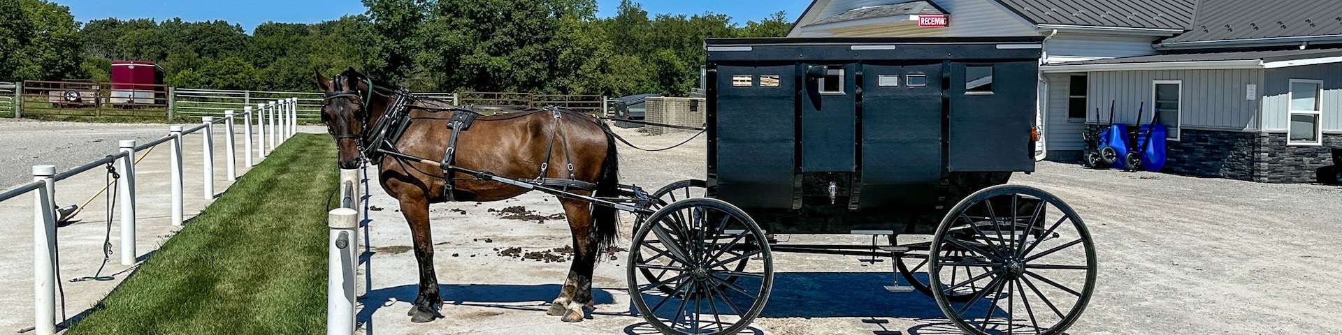 Amish horse and buggy parked in the parking lot of an Amish store