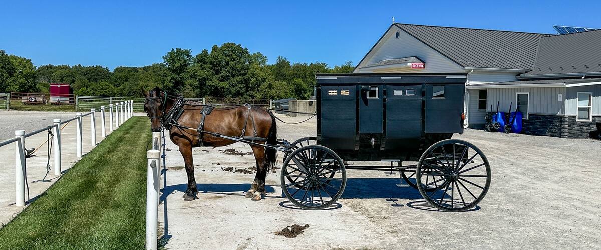 A horse pulling a carriage in a fenced area with a building in the background.