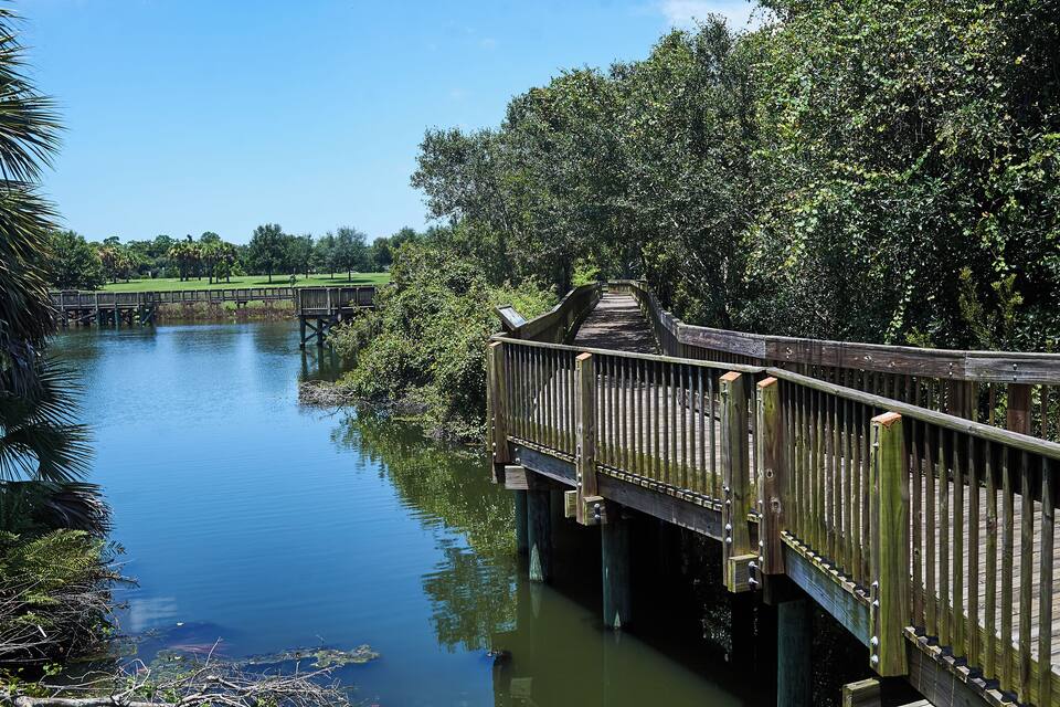 Un pont de fusta sobre un riu tranquil, envoltat de vegetació exuberant i arbres.