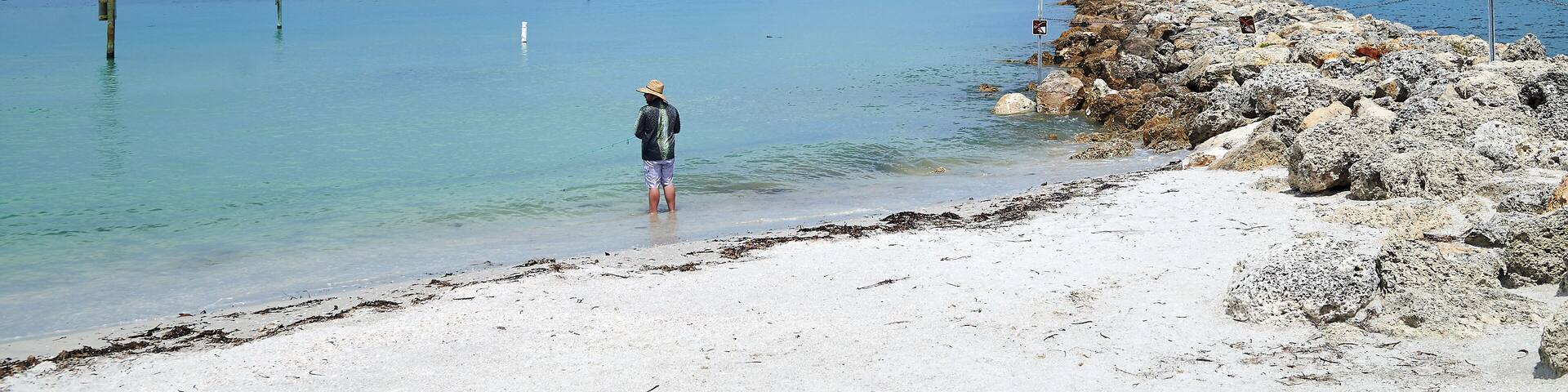 Clearwater_SandKeyPark_553248621532652734_05