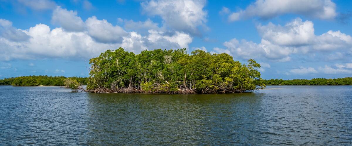 Chokoloskee Bay in the Ten Thousand Islands of southwest Florida USA