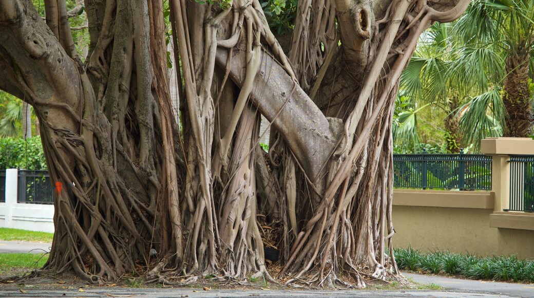 Old Cutler Trail which includes a park