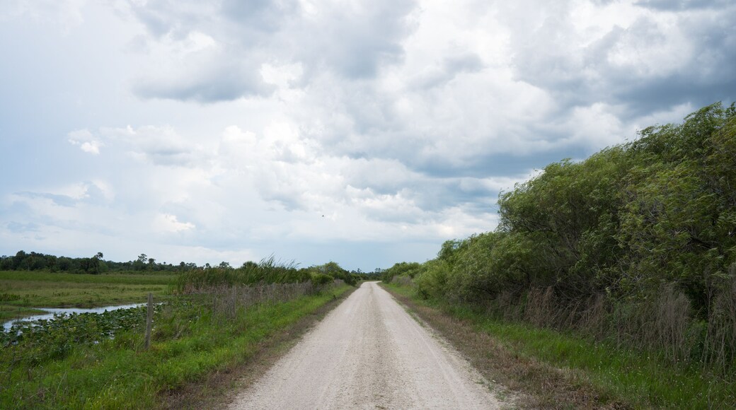 Okaloacoochee Slough State Forest Road