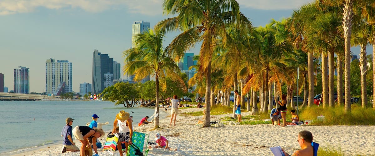 Miami featuring a city, a beach and tropical scenes