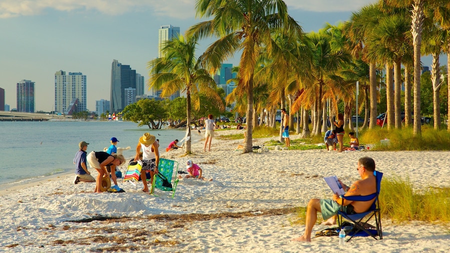 Miami which includes tropical scenes, a sandy beach and a city