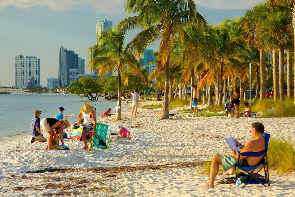 A beach with palm trees and a city skyline in the background.