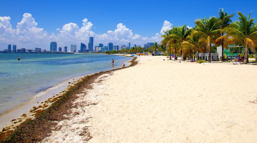 Virginia Key Beach Park showing a sandy beach, tropical scenes and general coastal views