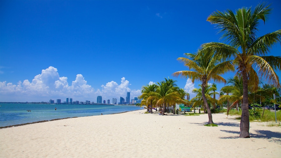Virginia Key Beach Park showing tropical scenes, a beach and a city